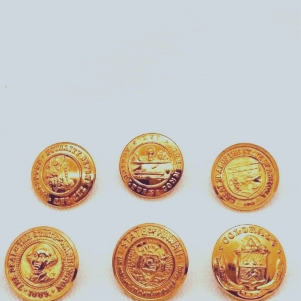Qty 12 USA State Seal Buttons 1700's/1800's
